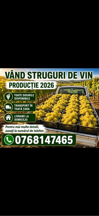 Struguri de vin de vanzare avem toate soiurile