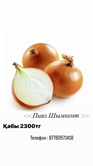 Лук репчятый (свежий)