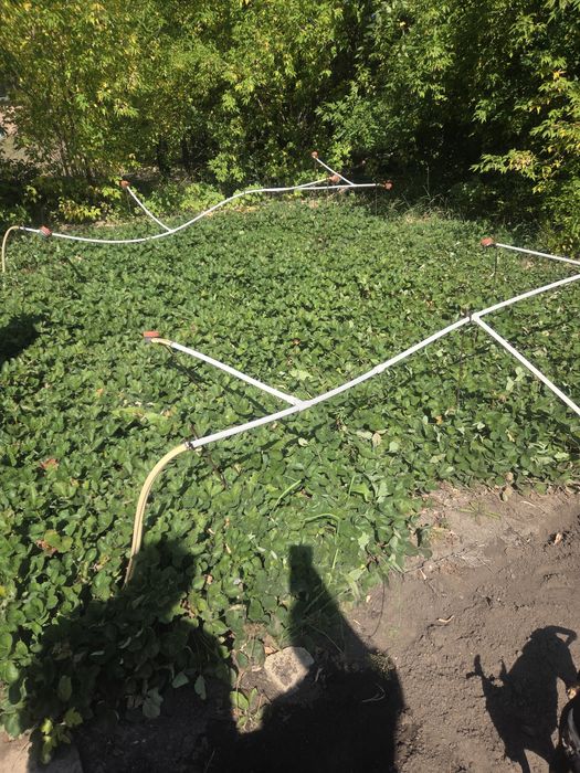 Продается дача " Энтузиаст"