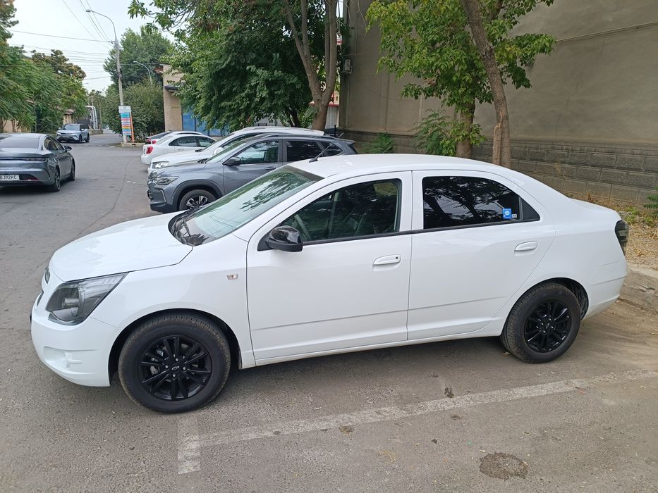 Cobalt midnight 2025 Аренда