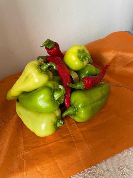 Перец горький домашний