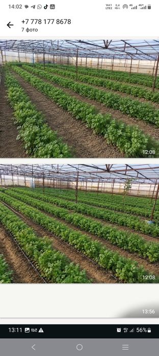 Үй сатылады, Тельман 4 кварталл