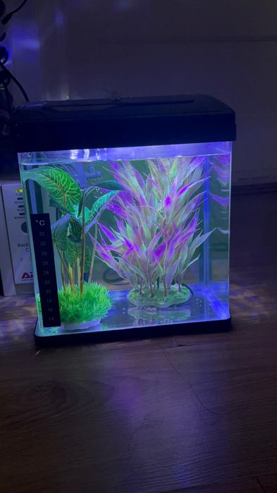Vand acvariu 6L+pompa, filtru si plante artificiale