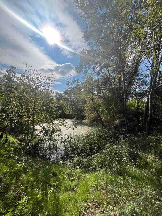 Продава се Къща в с. Писарово, Област Плевен - 150 кв.м за 238 €/кв.м - Снимка #1