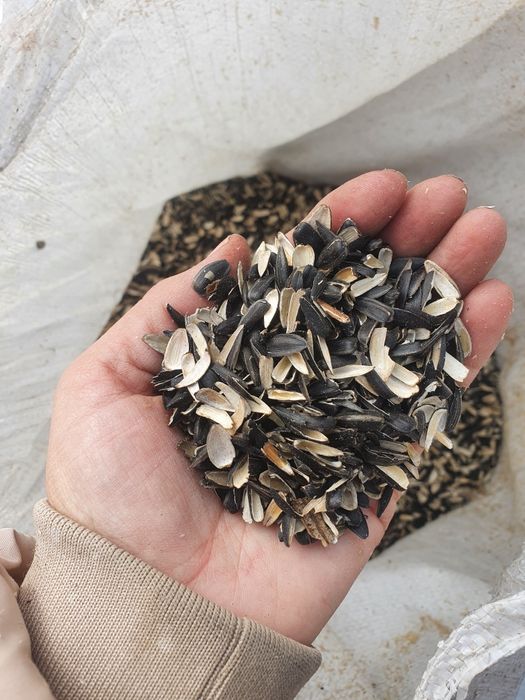 Лузга подсолнечника