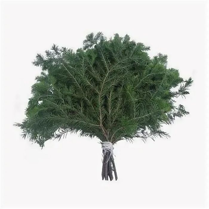 Пихтовые веники для бани