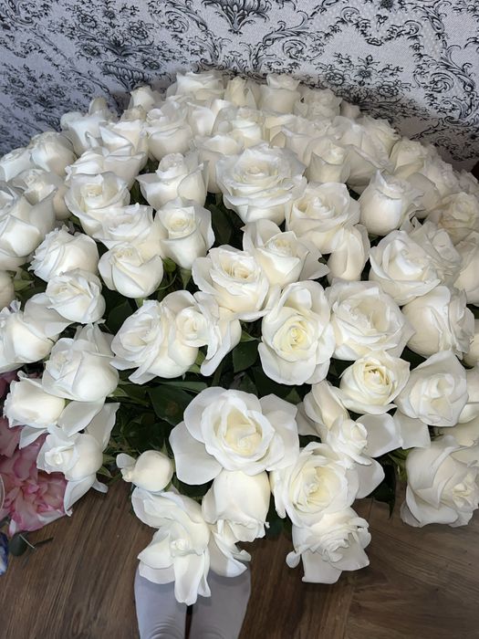 Жана келген свежиии