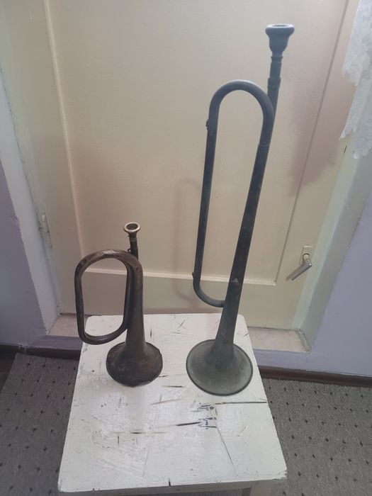 Lot de o trompeta și o goarna
