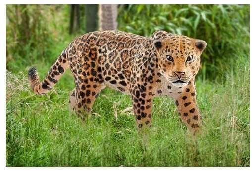 Figurina Bibelou Jaguar