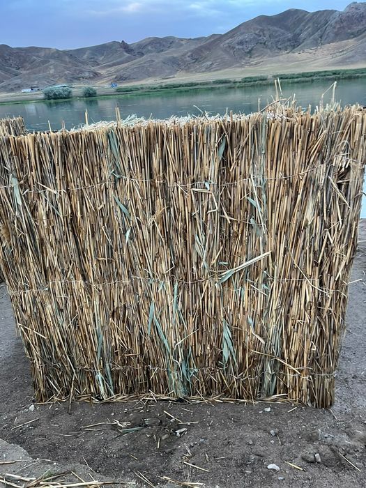 Продам камыс плита