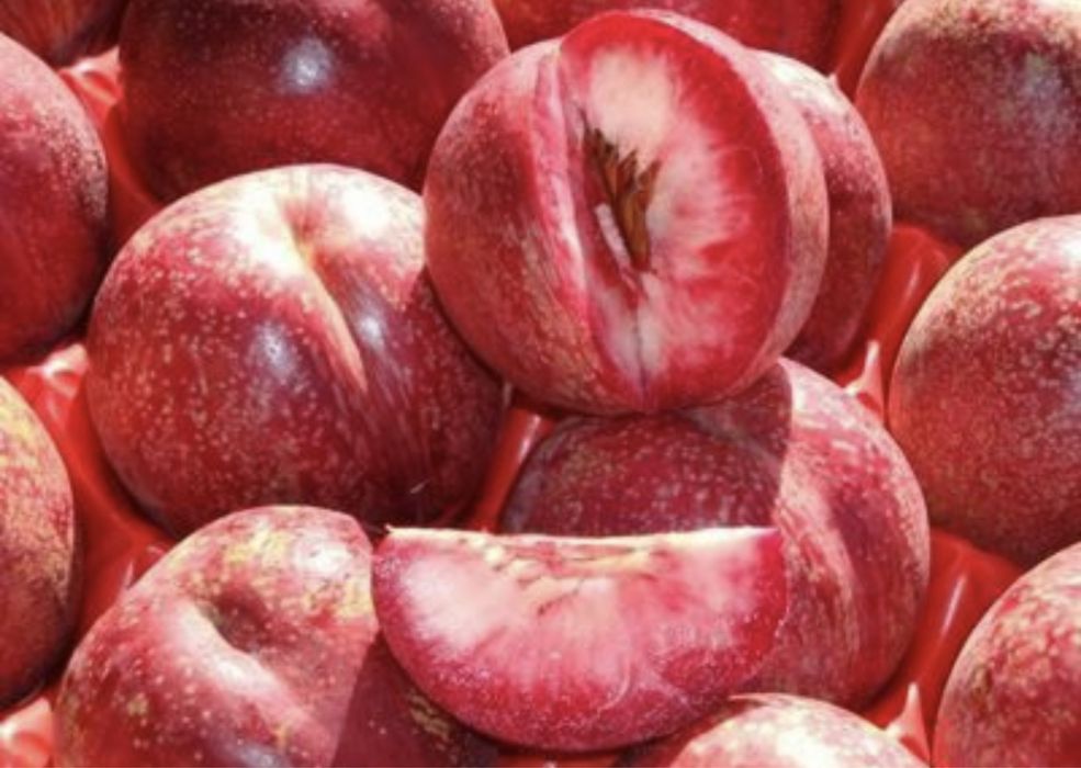 Nectarin Sanguine d'Auvergne