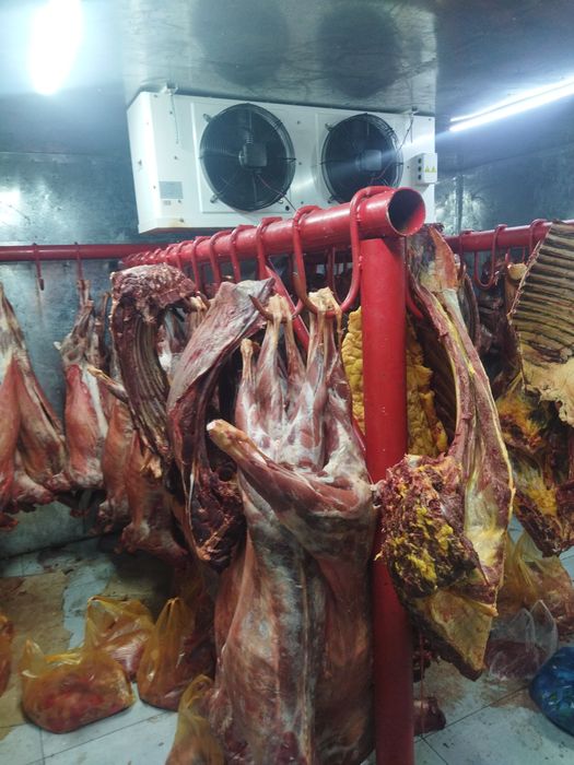 Сдам в аренду камеры морозильные реф контейнеры