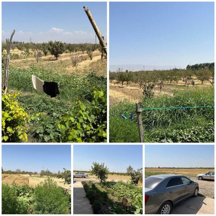 18gektar bog doimiy foydalanish uchun