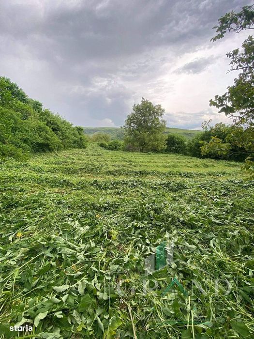 Teren 2200 mp, in Radaia, com Baciu