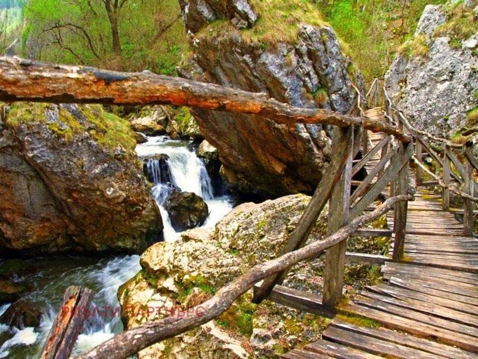 Продава се Парцел в Трън - 2101 кв.м за 9 €/кв.м - Снимка #12