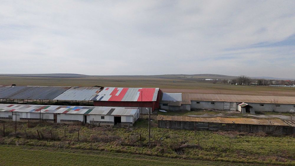 VAND sau INCHIRIEZ  FERMA in Salcioara, judet Tulcea