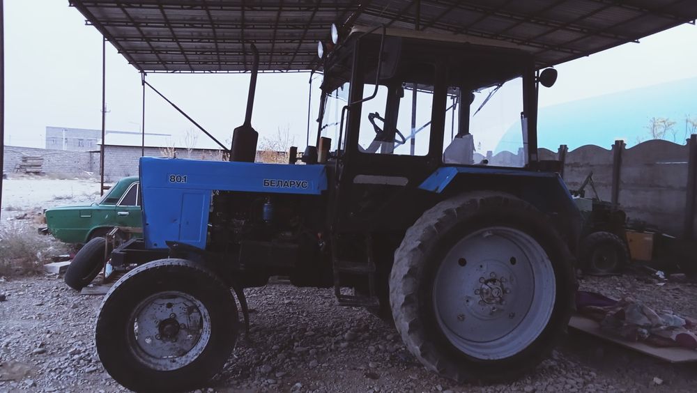 Трактор беларус 80.1