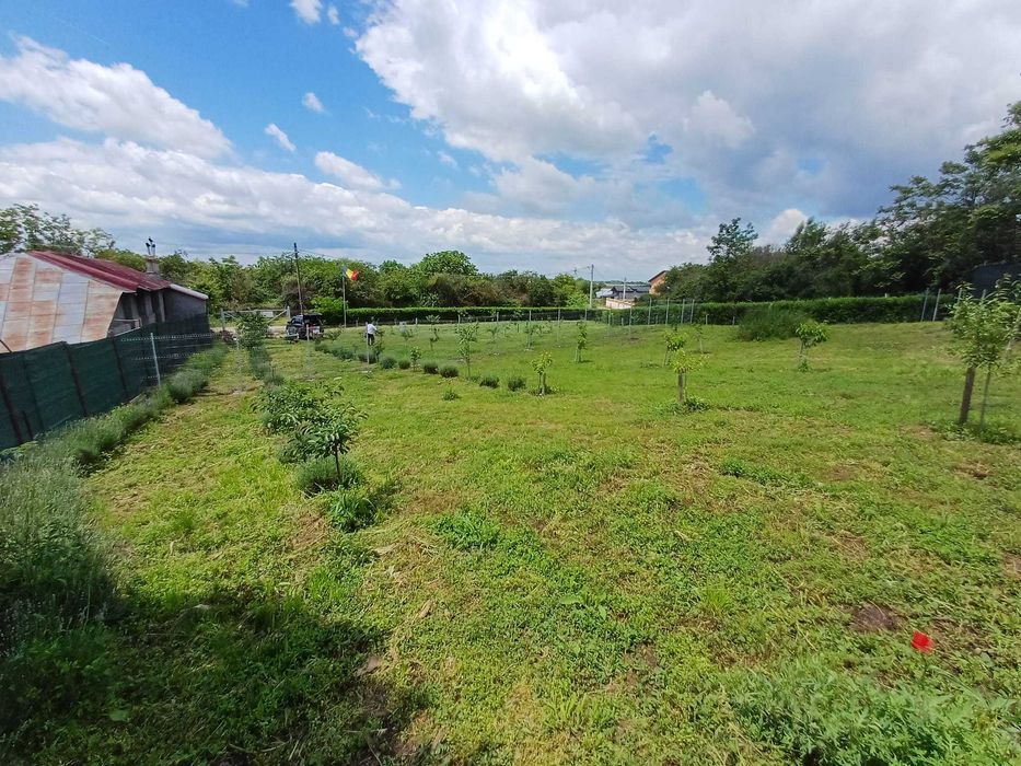 Teren intravilan 970m2 de vanzare NOVACI-MIHAILESTI -GIURGIU -17km Buc