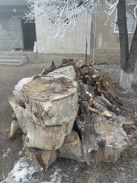 Дровы , томарлар