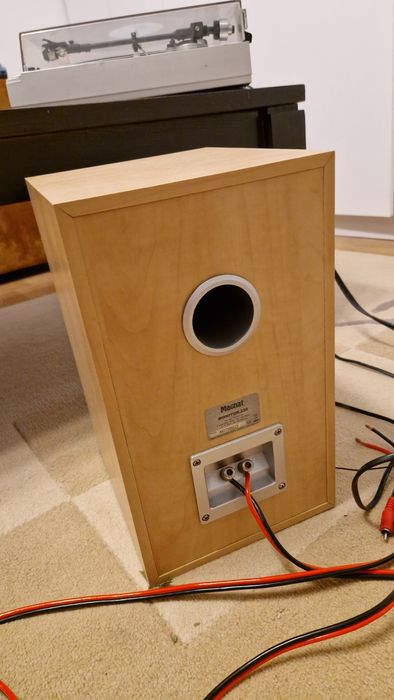 IMPECABILE!!! Boxe MAGNAT Monitor 220