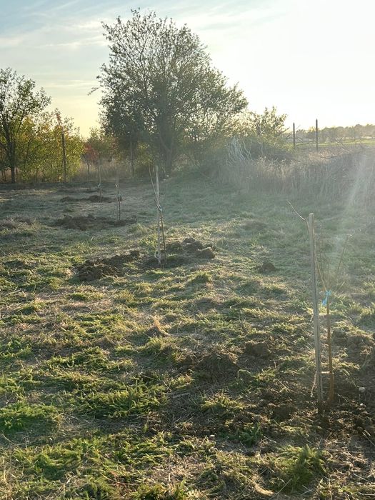 Vând teren 1000 mp (920 mp utili ) Utilități pe parcela