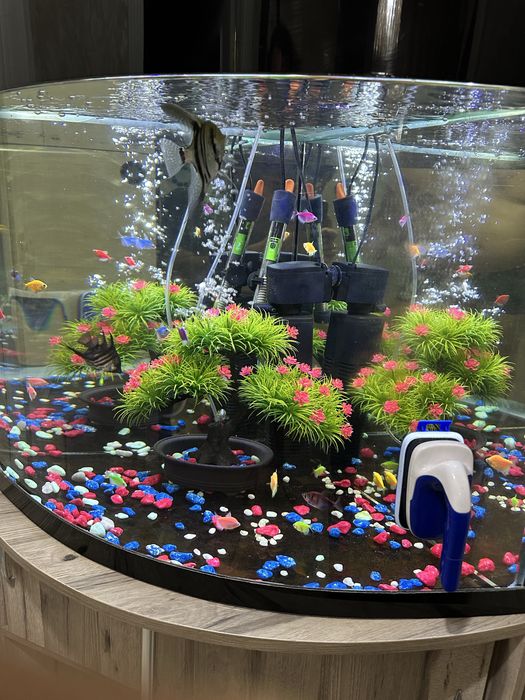 akvarium sotiladi