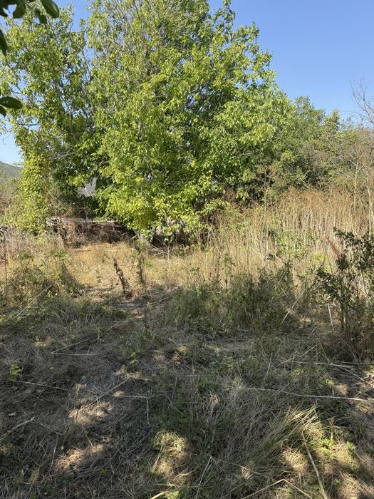 Продава се Парцел в Варна, Базар Левски - 900 кв.м за 28 €/кв.м - Снимка #5