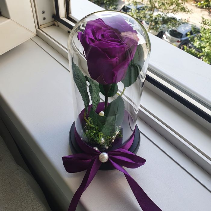 Trandafir criogenat conservat culoare mov