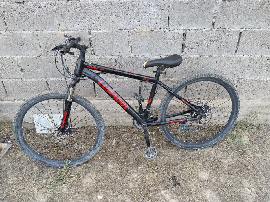 Amanekzxcv123456
