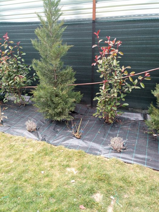 Поддръжка на зелени площи