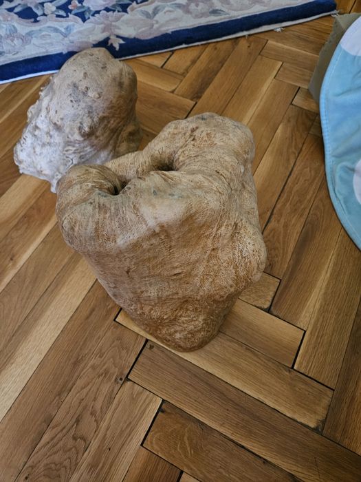 Декорация за дома и градината