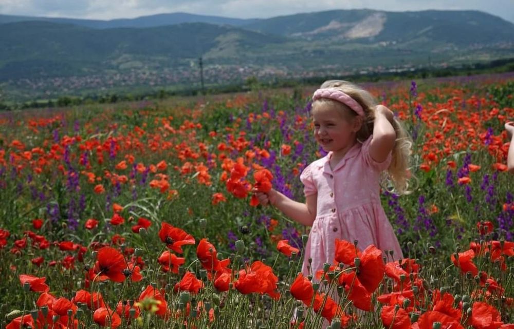 Бюджетна фотография гр. Пловдив