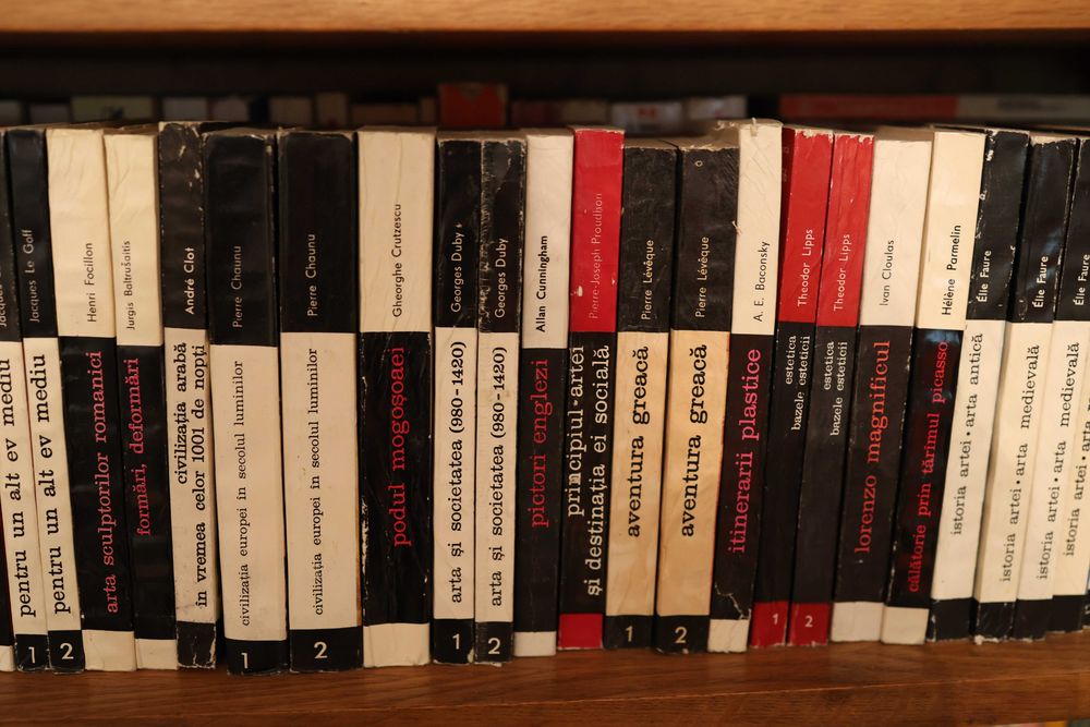 Colecție Completă Cărți de Artă și Civilizație — Seria Meridiane, 60+ Volume, Oprescu, Braudel, Faure, Chamoux