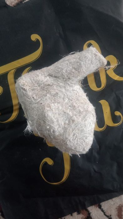 Гнездо ремеза,Куркылтайдын уясы