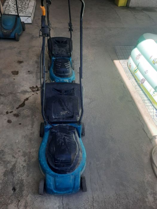 Gazonakasilka sotiladi