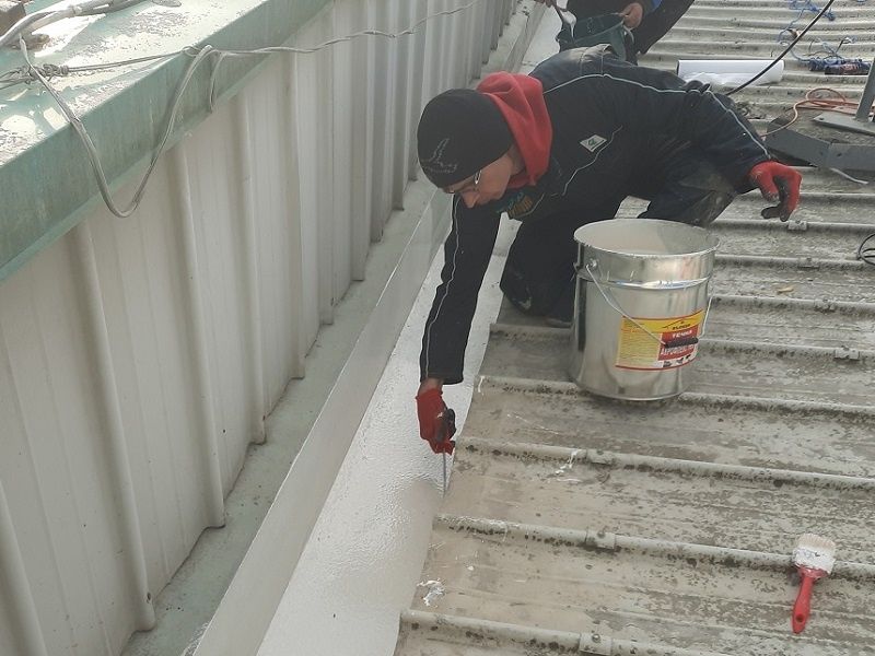 Reparatii Acoperișuri De Urgență, Vopsire, Terase , Izolatii, Saceag