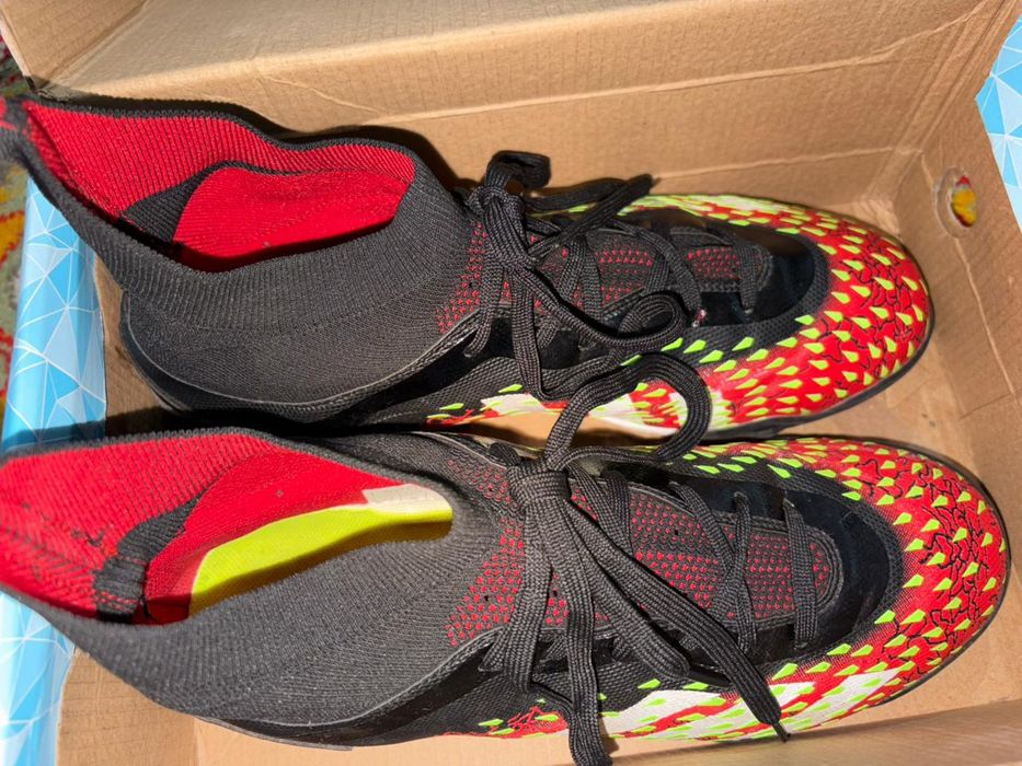 Сороконожки Предатор