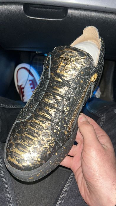 giuseppe zanotti