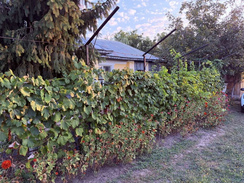 Casa de vanzare 2588mp
