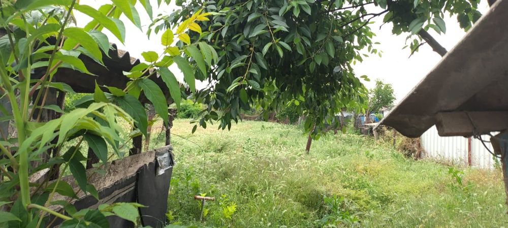 OFERTĂ – Casă + teren mare în Mahmudia (Tulcea) | 50.000€ negociabil