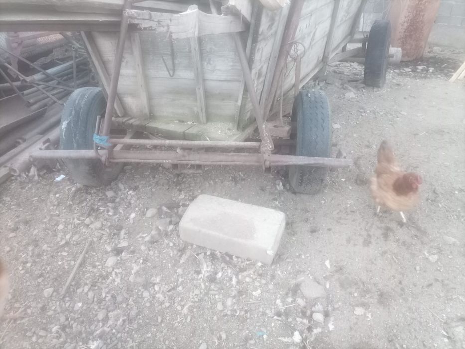 Vand axa remorca RM2 , car / caruta , grapă fier