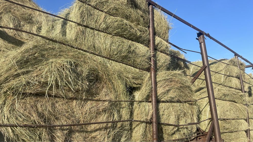 Продам сено в рулонах