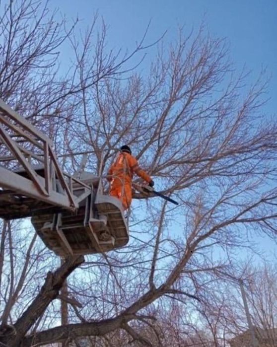 Автовышка ,спил деревьев