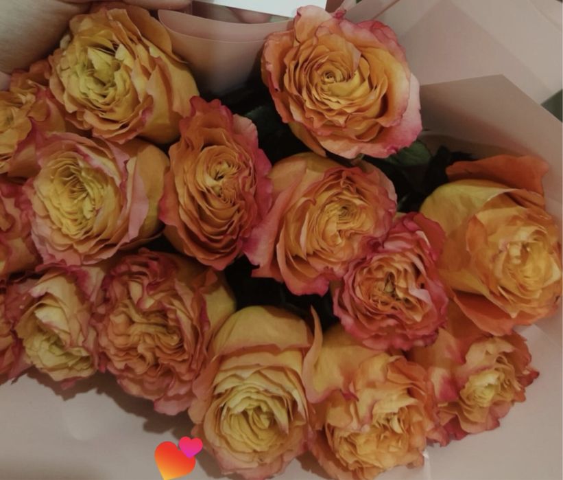 Цветы в хорошем состоянии