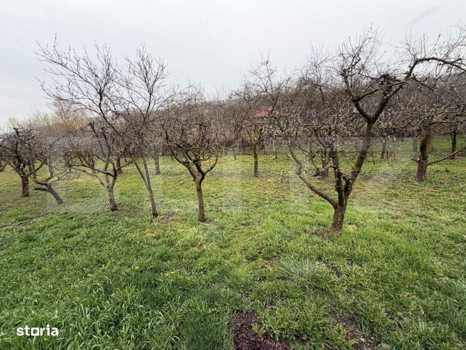Teren intravilan de vanzare, 1.265 mp - Zalau
