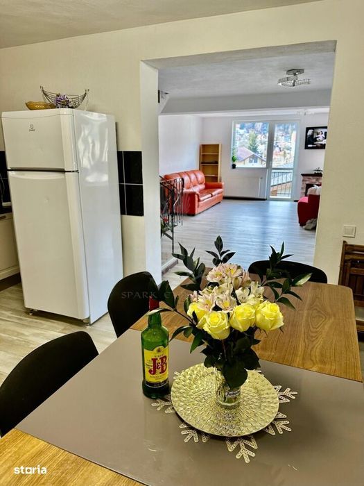 Vila Cartier Zamora//Busteni