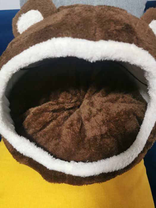 Casuta Caine sau pisica