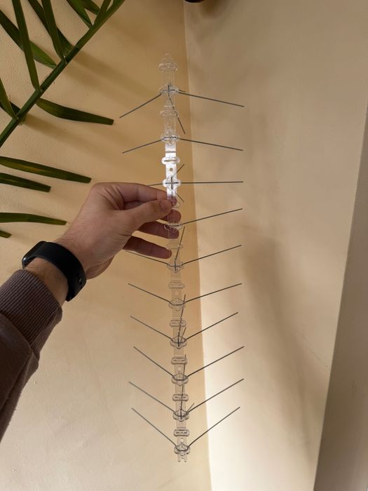 Шипове против птици