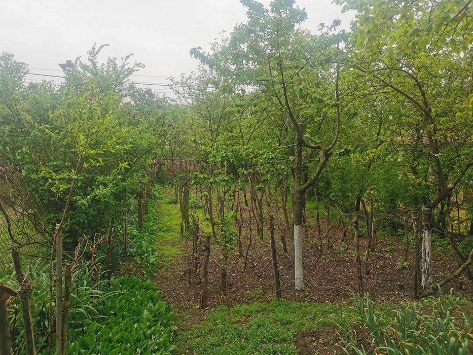 Casa de vanzare in sat Merisani Com Babaita /Teleorman