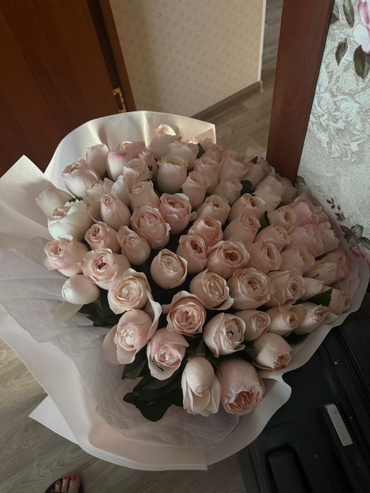 Цветы роза дамасская